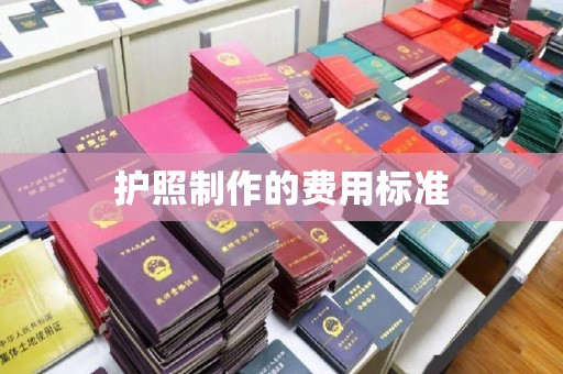 南岔护照制作的费用标准